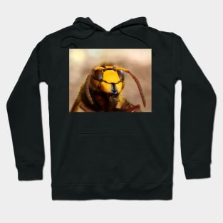 Hornet Hoodie